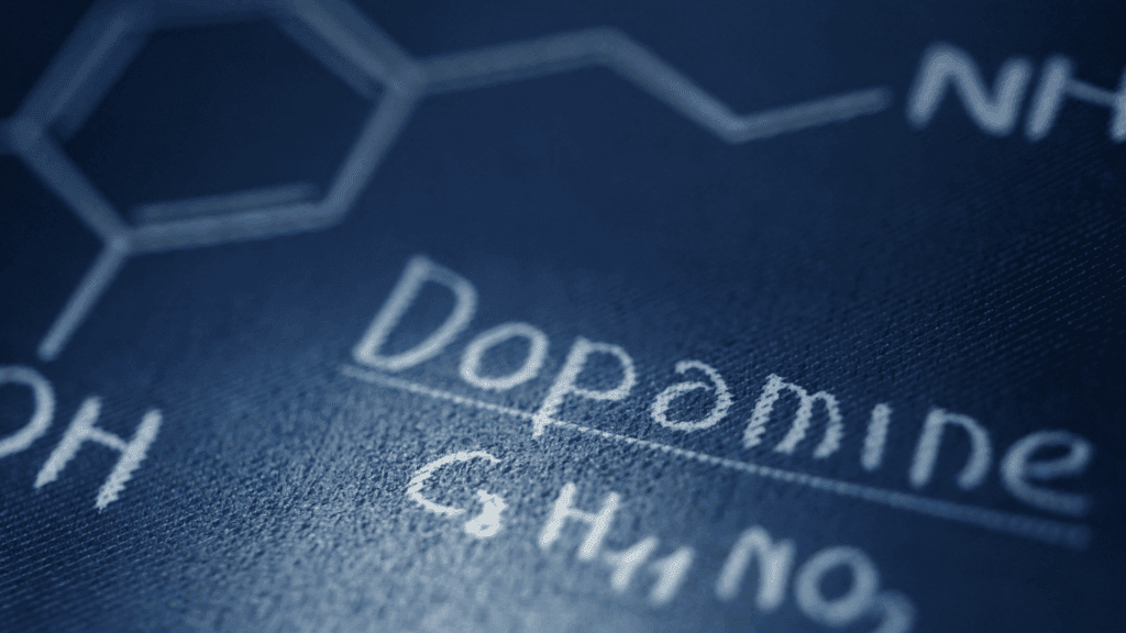 Close-up view of dopamine neurotransmitter chemical structure and formula displaying the molecular composition underlying dopamine coaching mechanisms.
