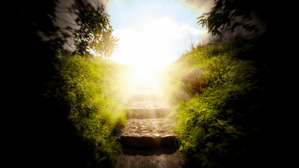 Feeling Blah? Discover the Neuroscience of Joy 6 Sunlight emerging through verdant tunnel symbolizing recovery from feeling blah through neuroscience of joy principles.