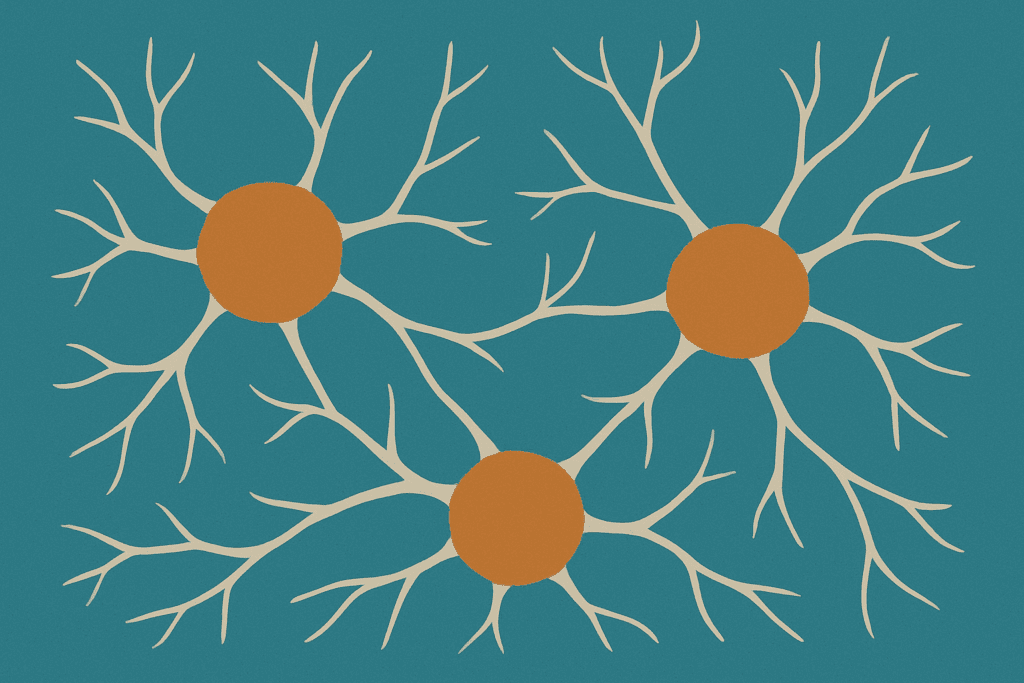 Science Behind Neuroplasticity: Unlocking Your Potential 3 Three neurons connected by branching pathways illustrating the science behind neuroplasticity and synaptic communication.