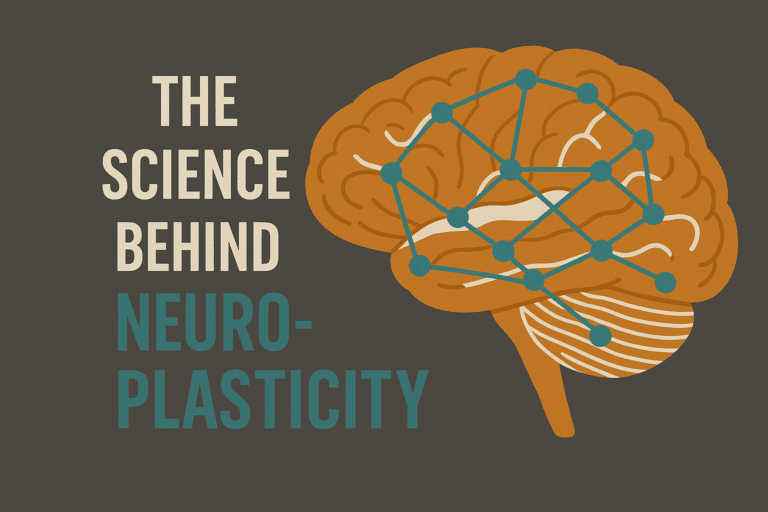 Side profile of human brain with highlighted neural pathways representing the science behind neuroplasticity and brain structure.