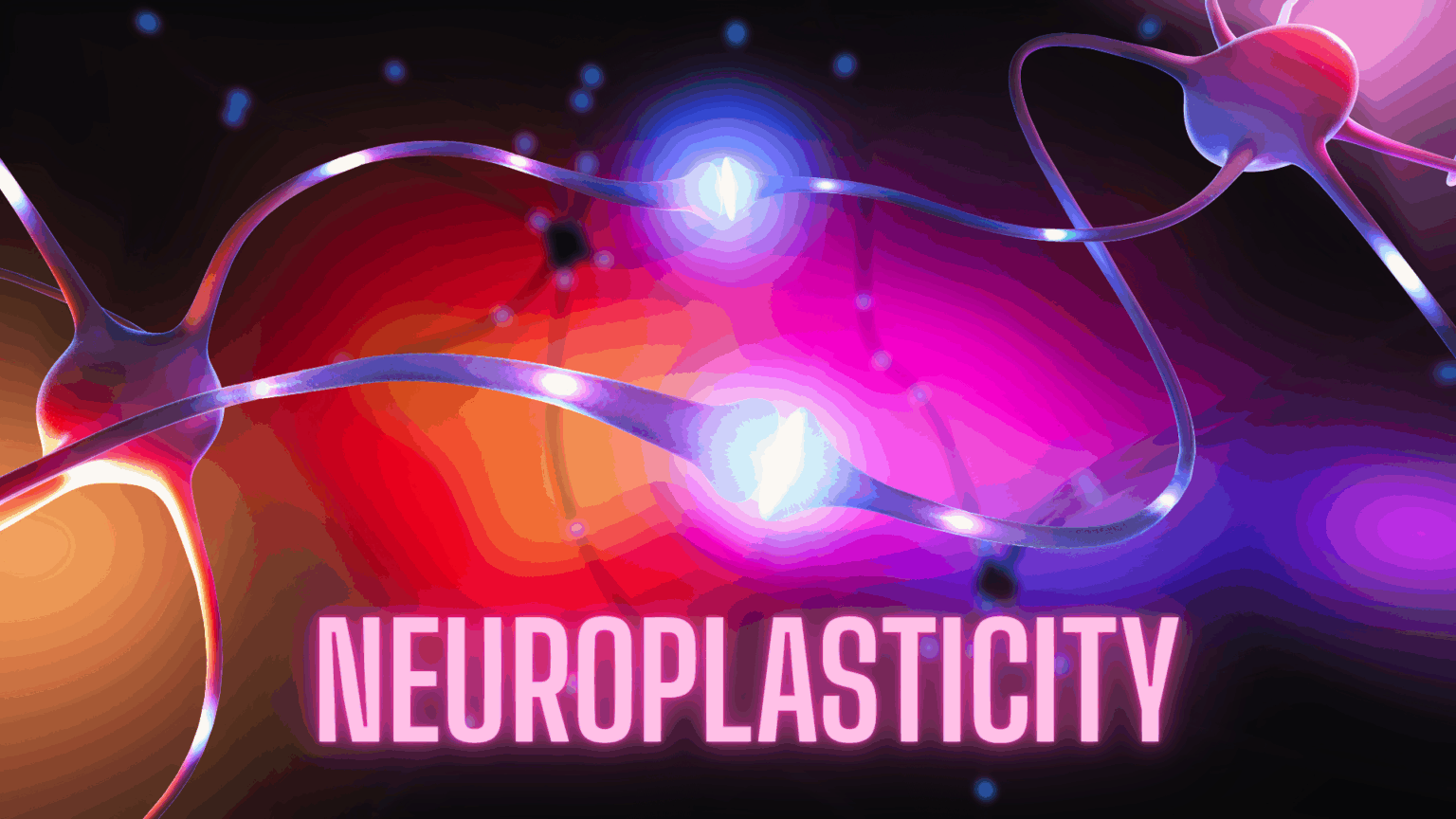 How The Brain Rewires Itself: A Neuroplasticity Blueprint