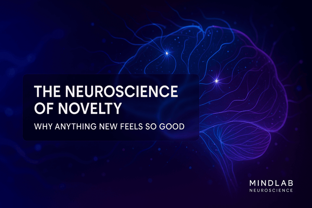 The Neuroscience of Novelty: Why Anything New Feels So Good 4 Cover image of a glowing neural brain in blue and purple, illustrating the neuroscience of novelty.