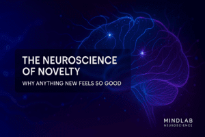Cover image of a glowing neural brain in blue and purple, illustrating the neuroscience of novelty.