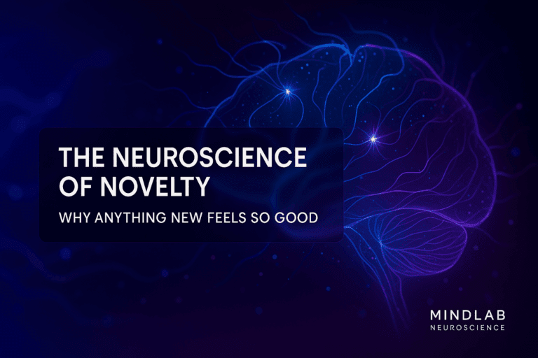 Cover image of a glowing neural brain in blue and purple, illustrating the neuroscience of novelty.