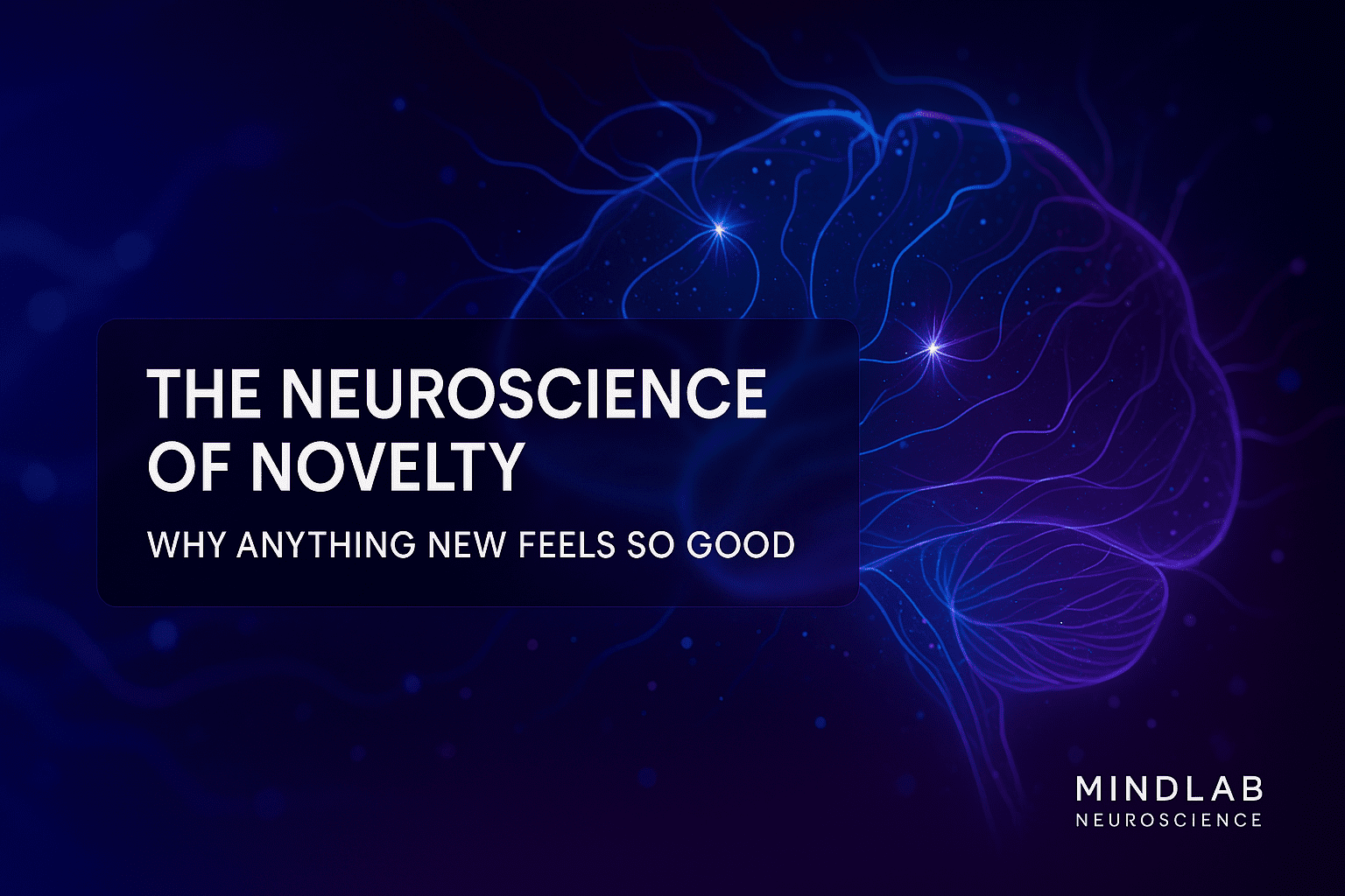 Cover image of a glowing neural brain in blue and purple, illustrating the neuroscience of novelty.