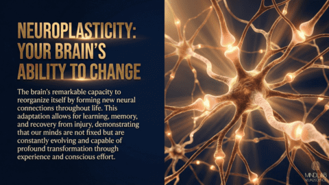 Empower Yourself: How To Rewire Your Brain