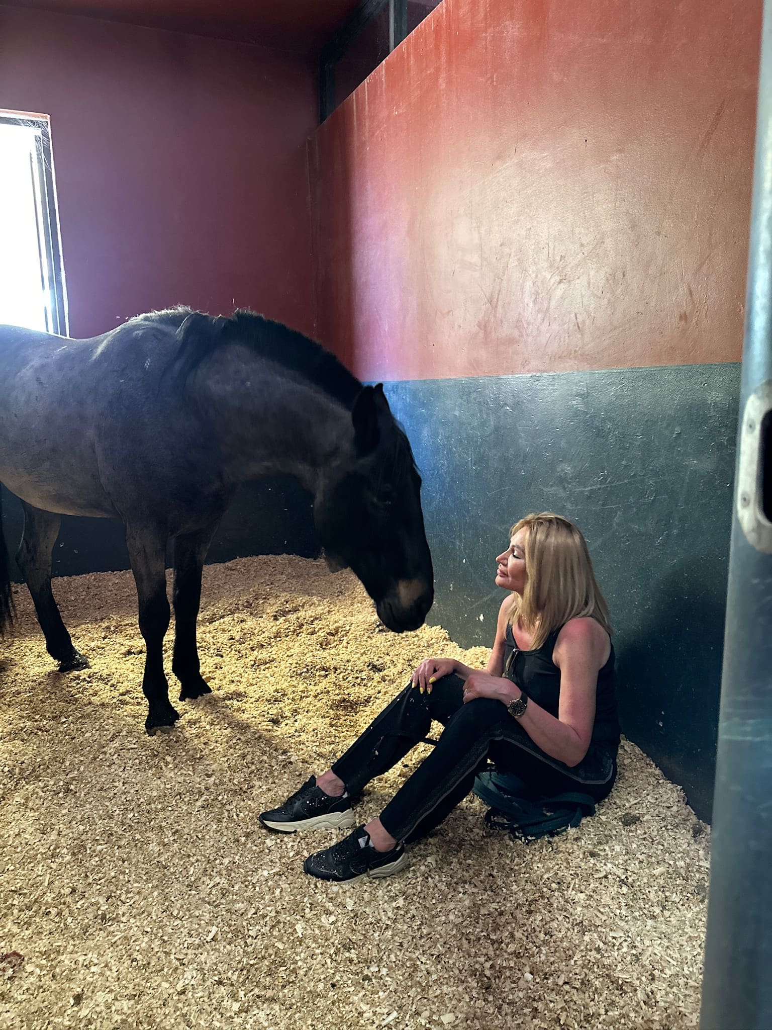 Dr. Sydney Ceruto 41 Dr. Sydney Ceruto with Arabian horse in Morocco, showing authentic moment of personal resilience and connection