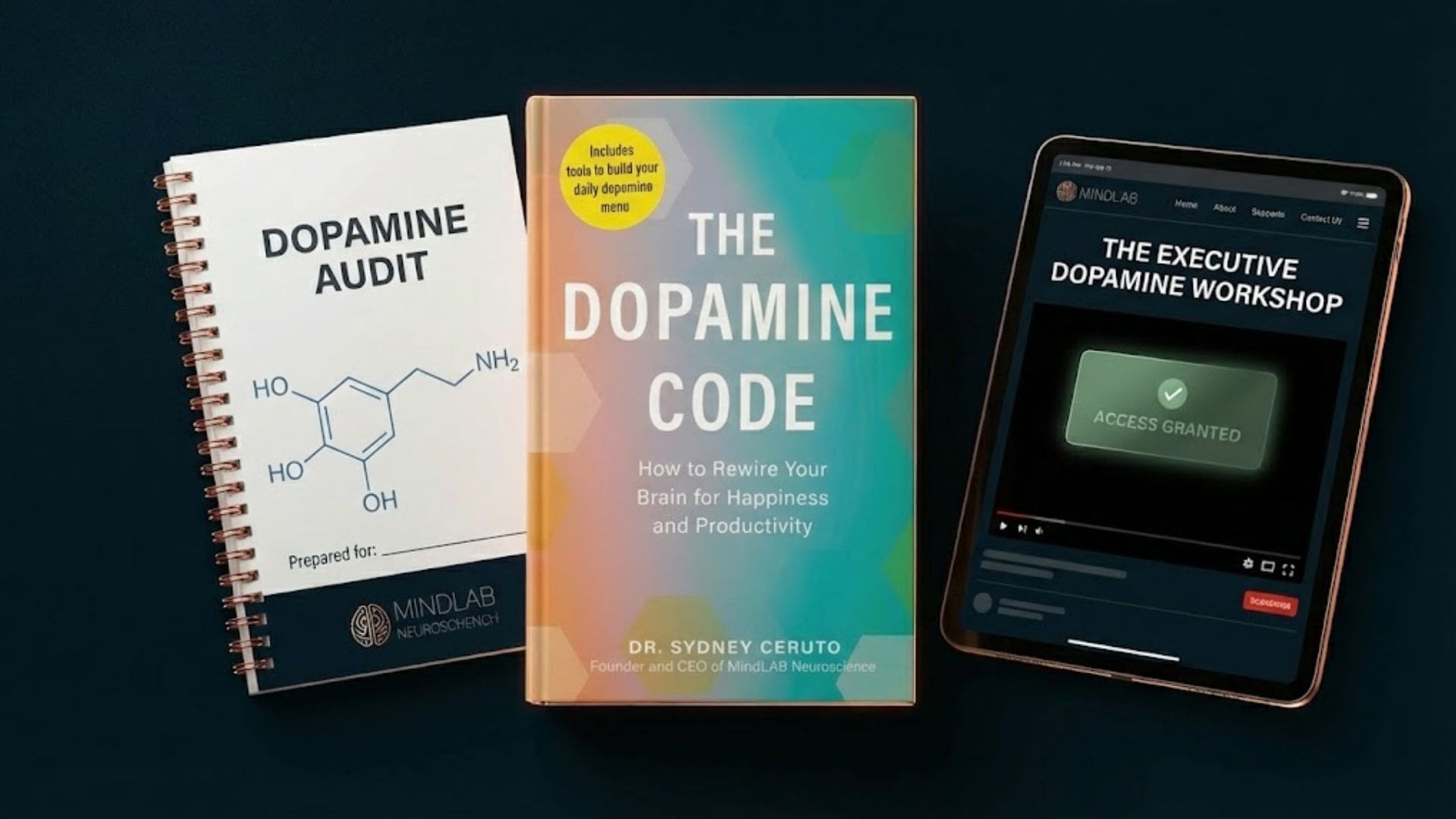 Mockup of the Executive Dopamine Code digital workshop and Dopamine Audit included with pre-order.