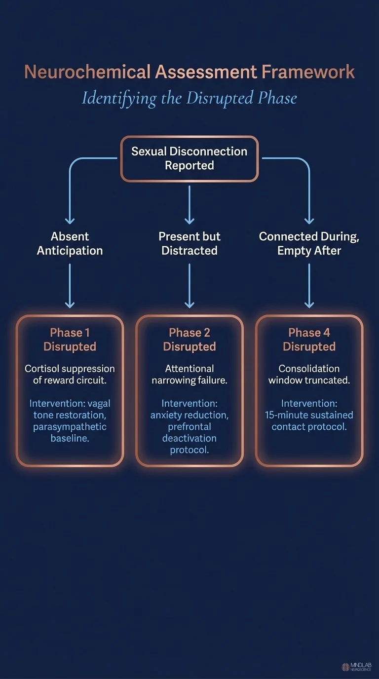 Neurochemical assessment decision tree for identifying disrupted intimacy phases. Dr. Sydney Ceruto, MindLab Neuroscience.